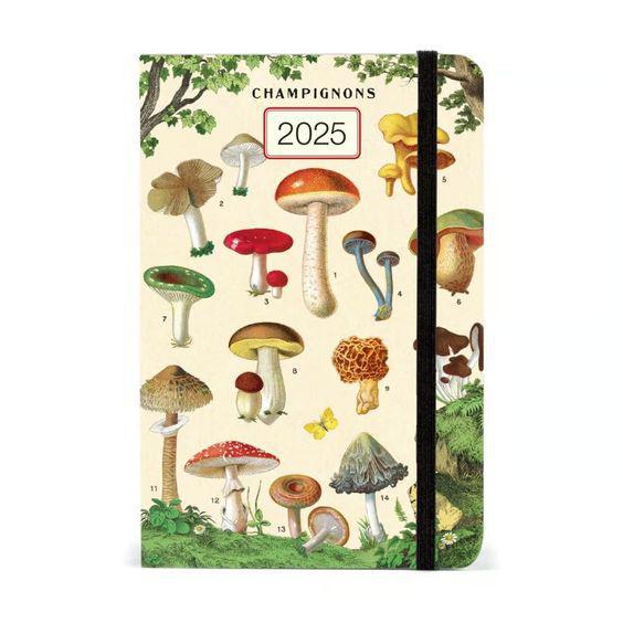 Weekly 2025 Planner