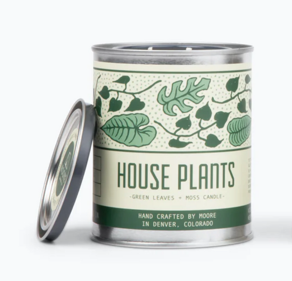 House Plant Candle