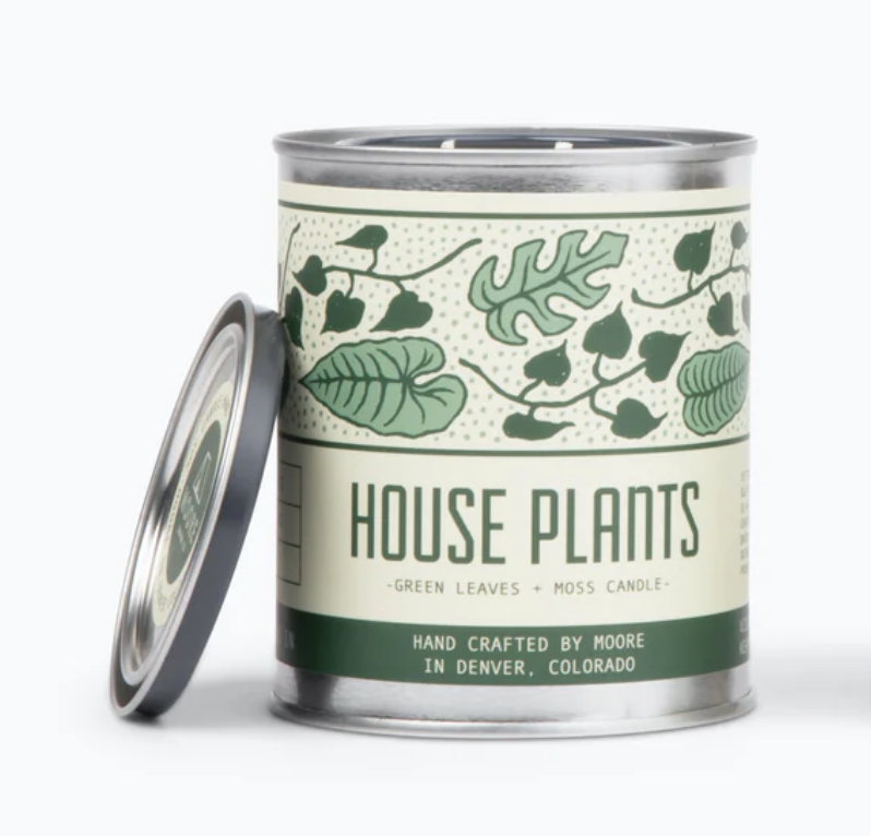 House Plant Candle